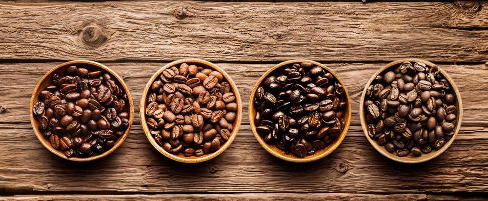 arabica-beans-vs-robusta-beans-what-s-the-difference-perk-coffee